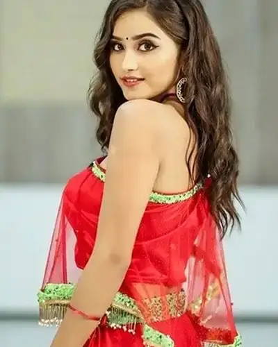 Call Girls Service Panruti